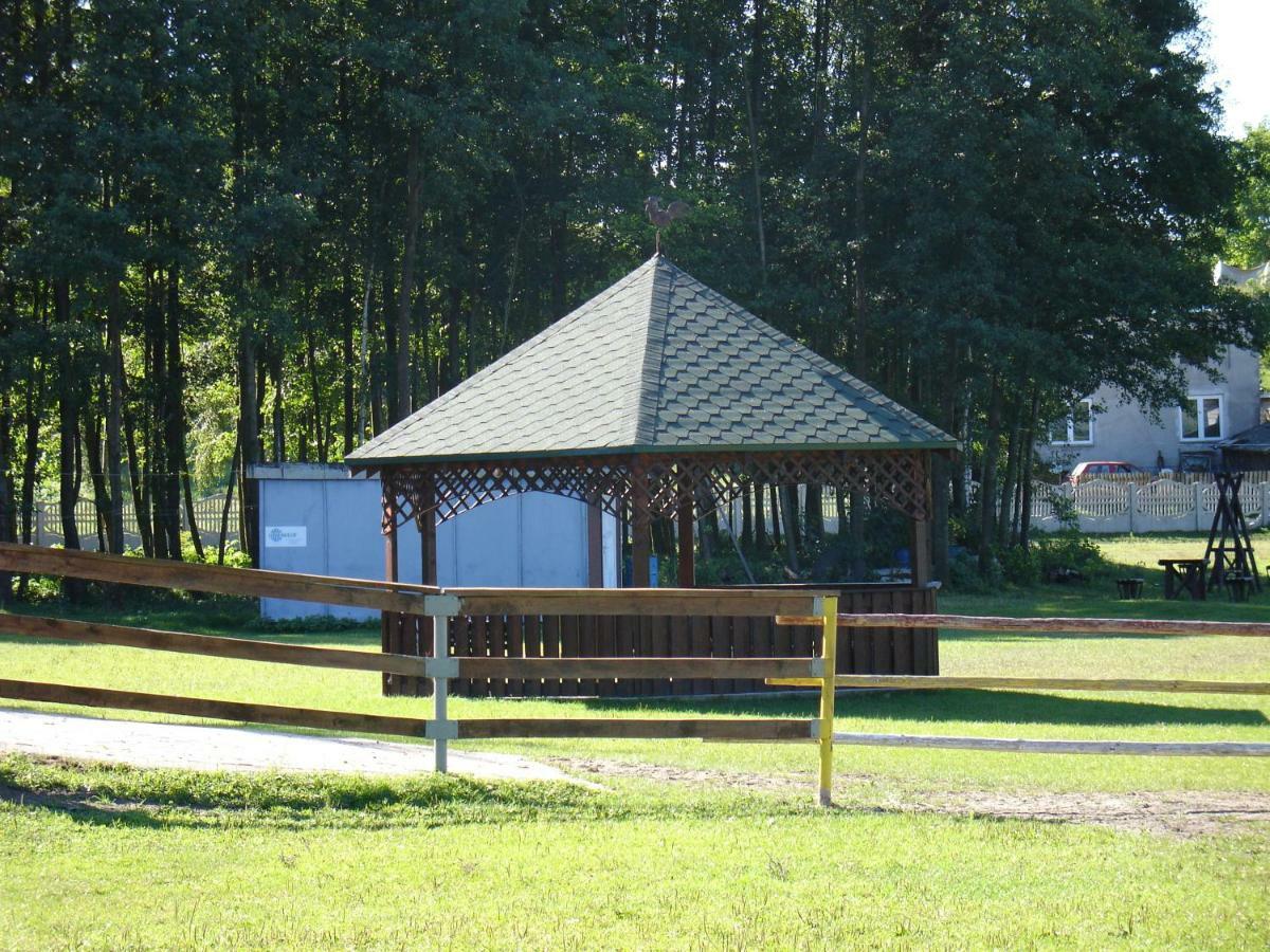 Willa Agrotourist Maryska Małe Leźno Zewnętrze zdjęcie